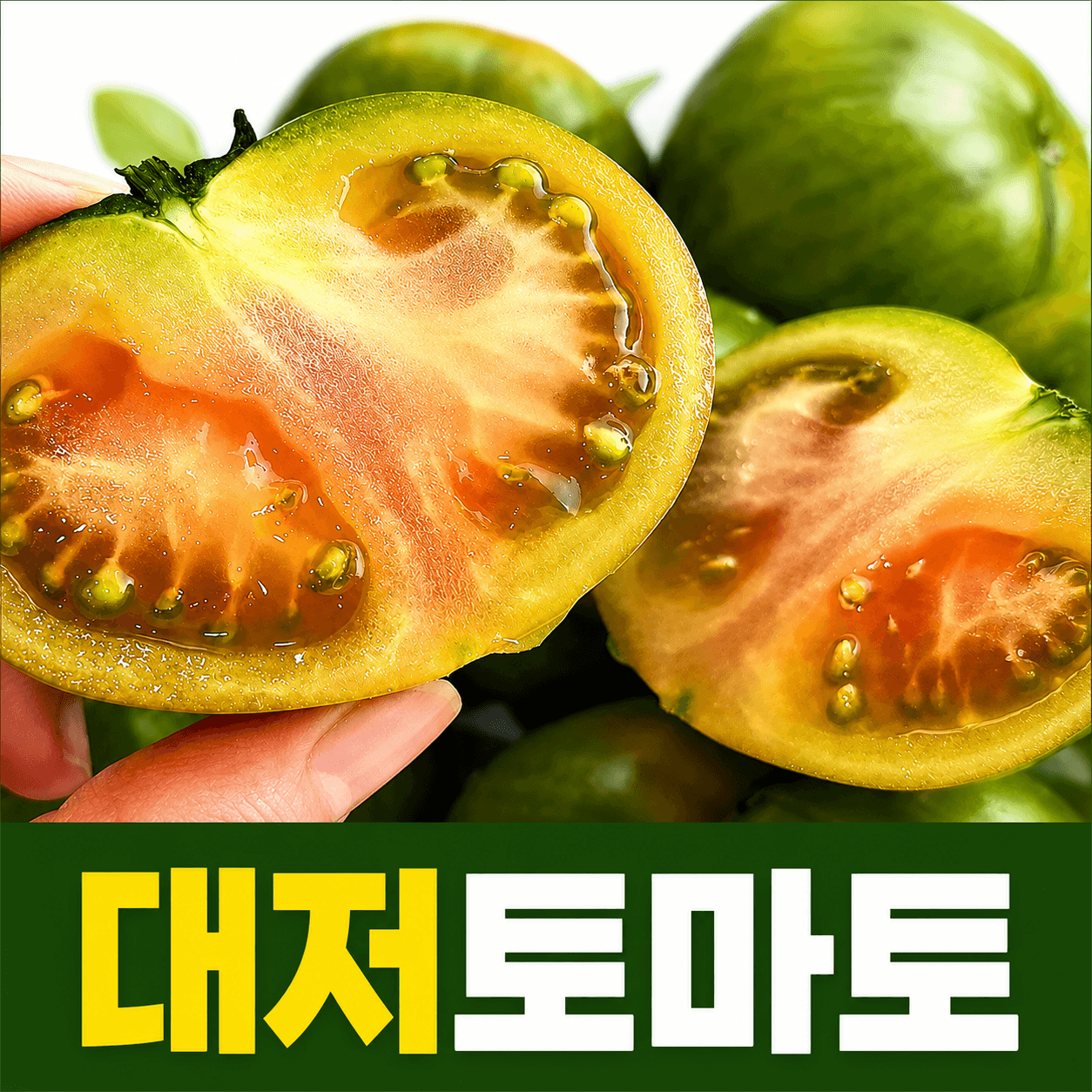 대저토마토