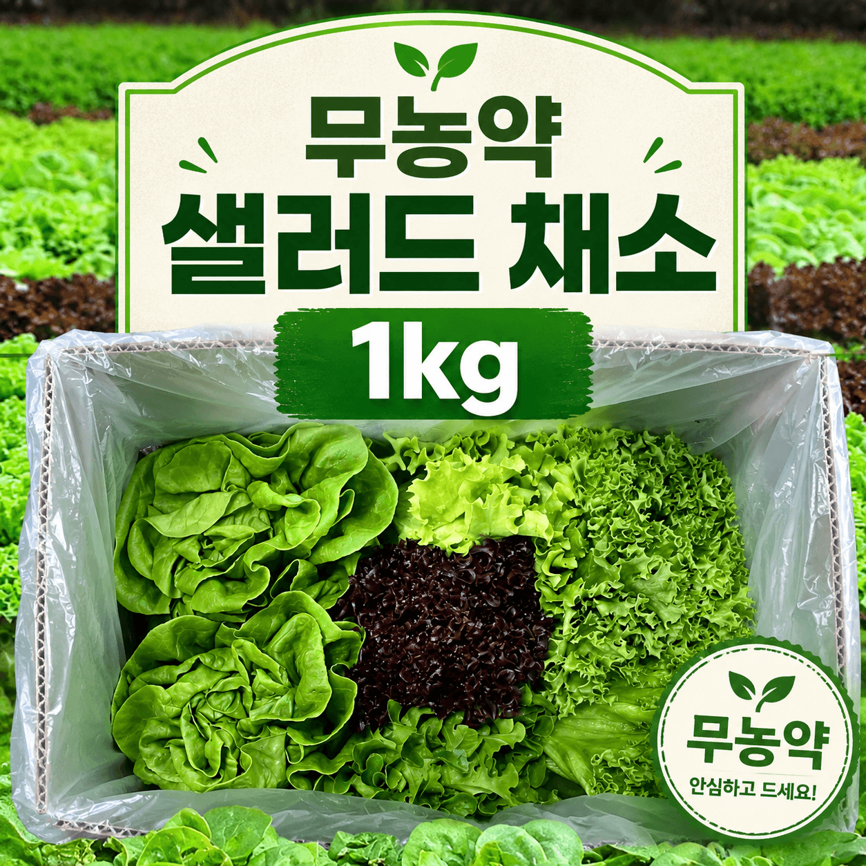 무농약 샐러드 채소 1kg