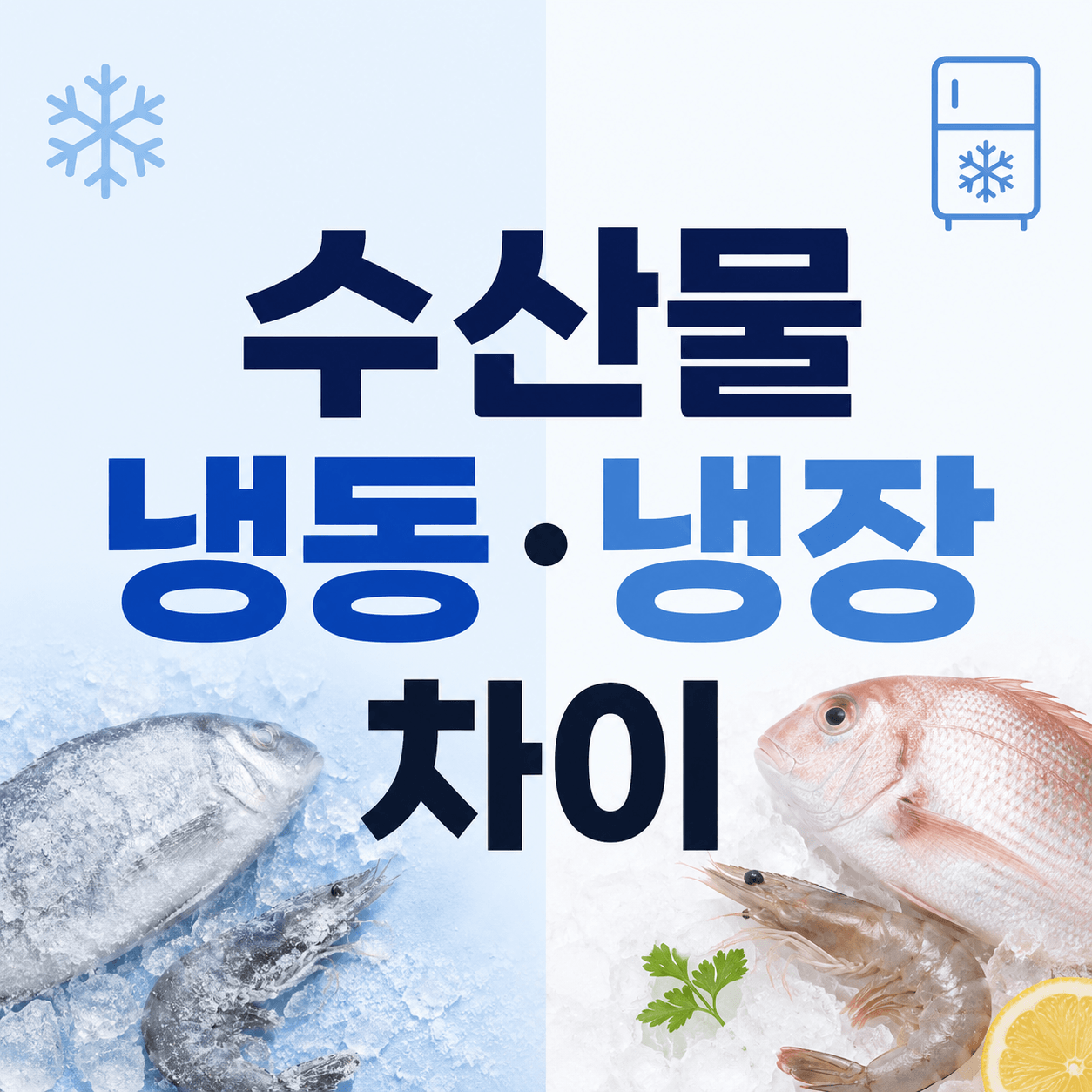 수산물 냉동 냉장 차이