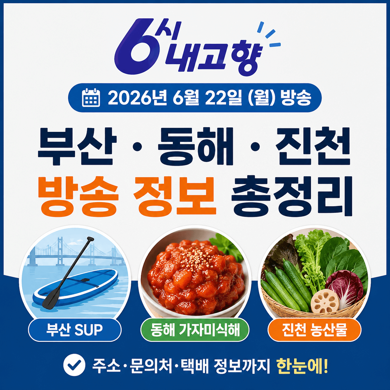 6시 내고향