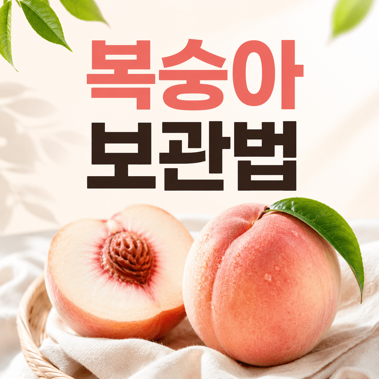 복숭아 보관법