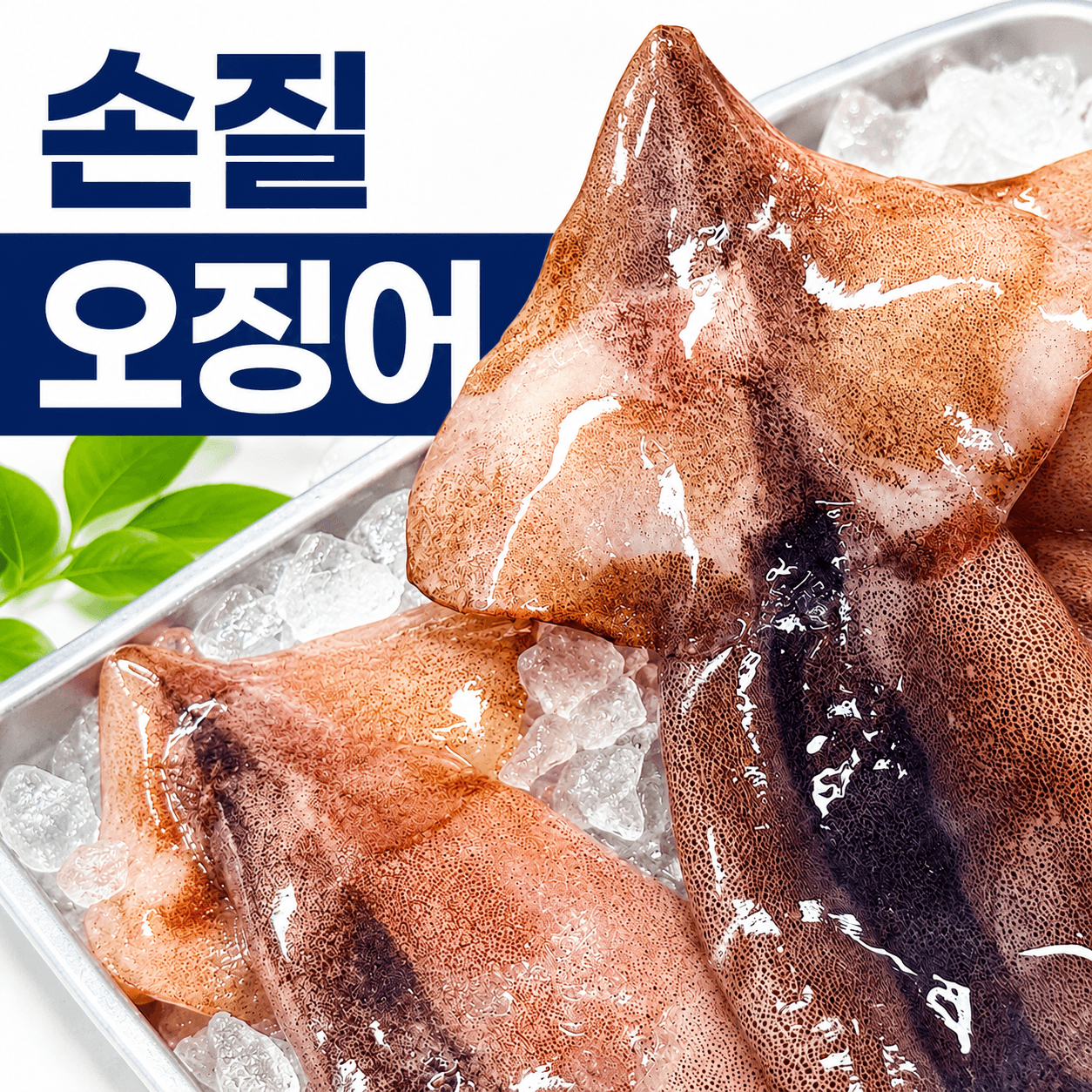 손질오징어
