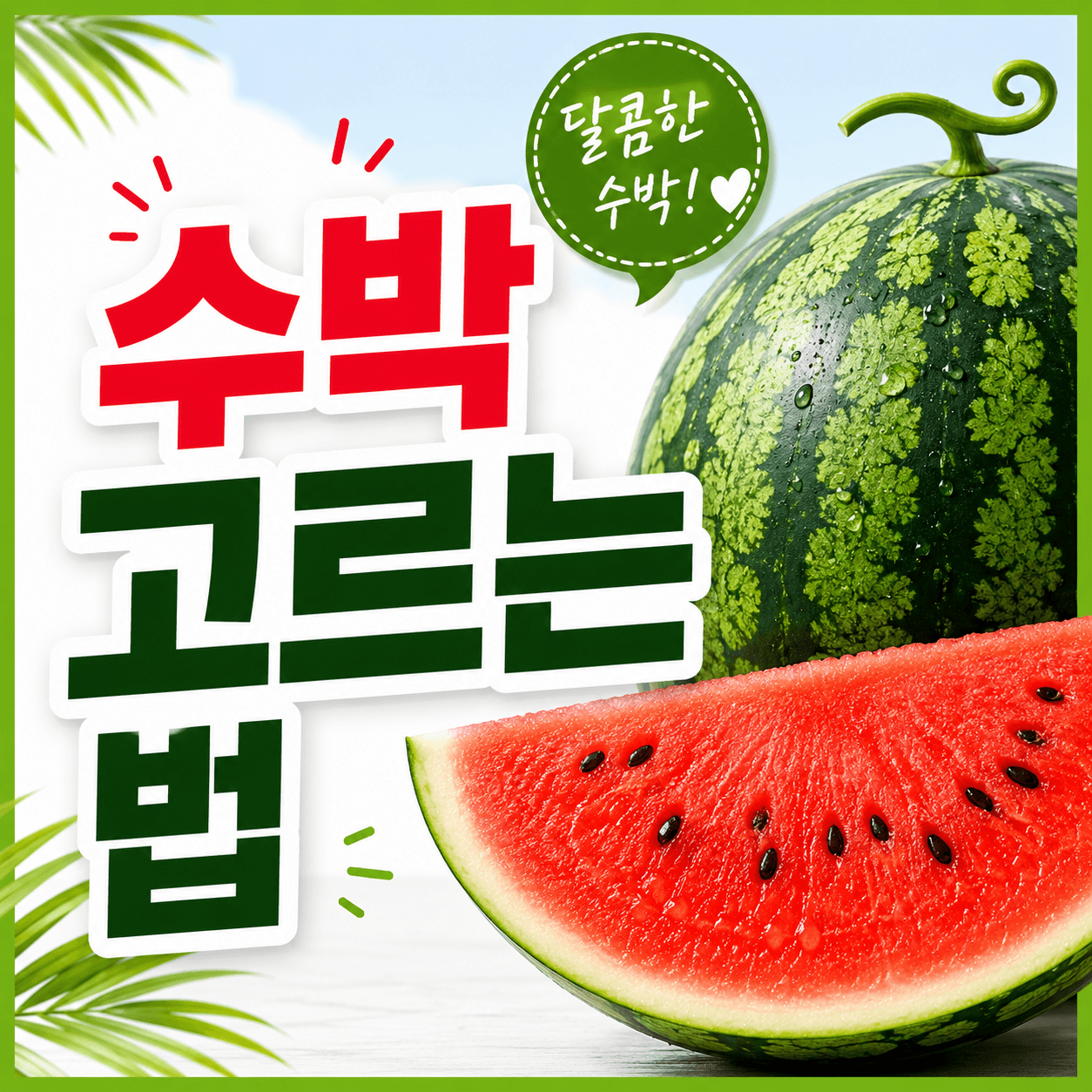 수박 고르는 법
