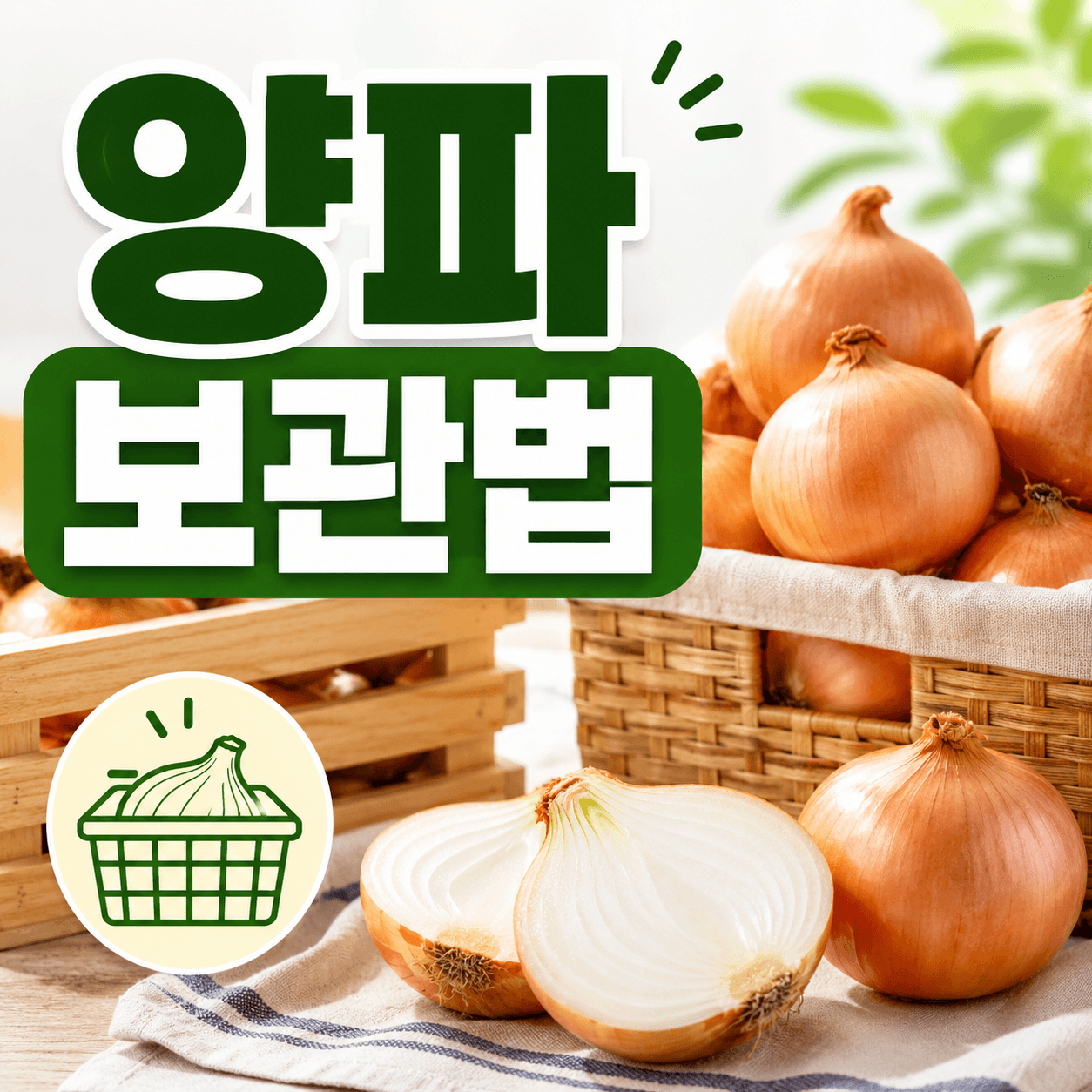 양파 보관법